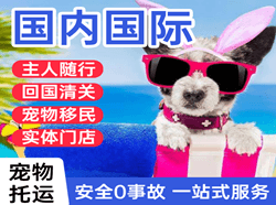 南阳姜营空运公司国际宠物托运 【国